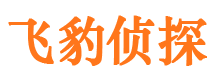 枝江寻人公司